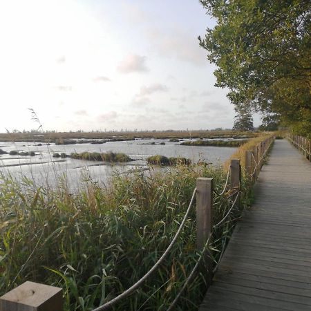 Casa Da Balseira Villa Aveiro Luaran gambar